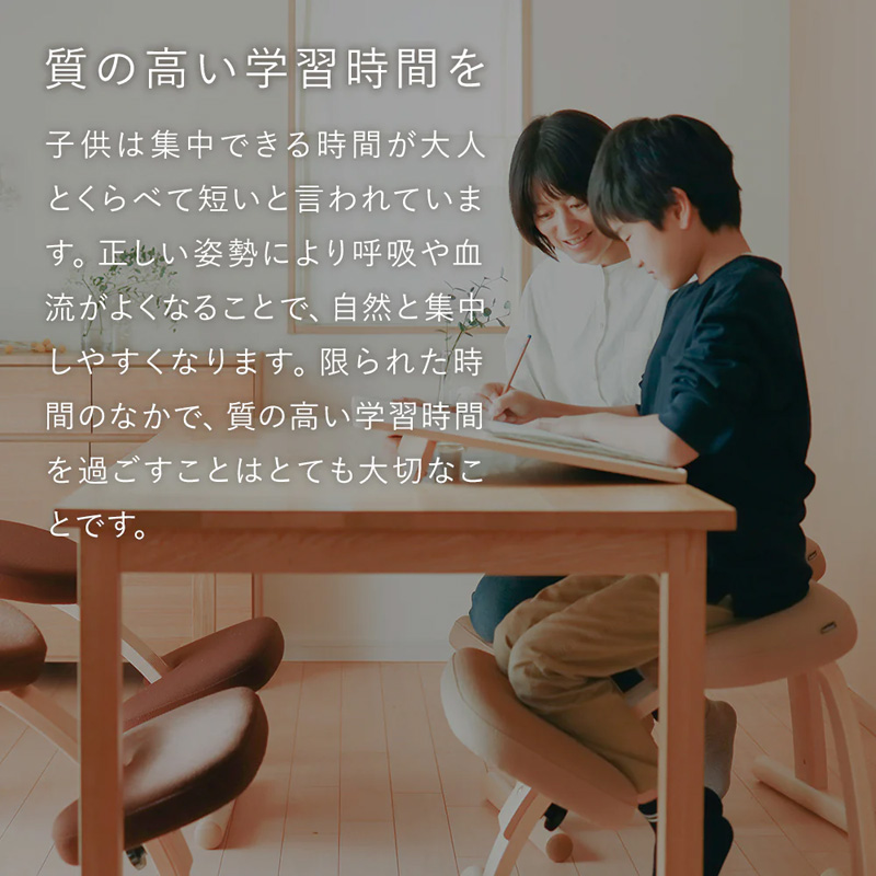 バランスラボ バランス イージー (ショートフレーム) ラクに姿勢が