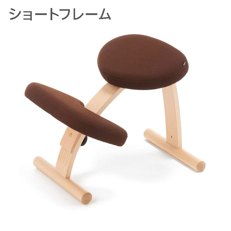 バランスラボ バランス イージー (通常フレーム) ラクに姿勢がよくなる