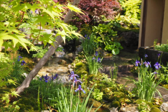 2025 Cha No Niwa – Japanese Tea Garden | 庭園デザイナー石原和幸