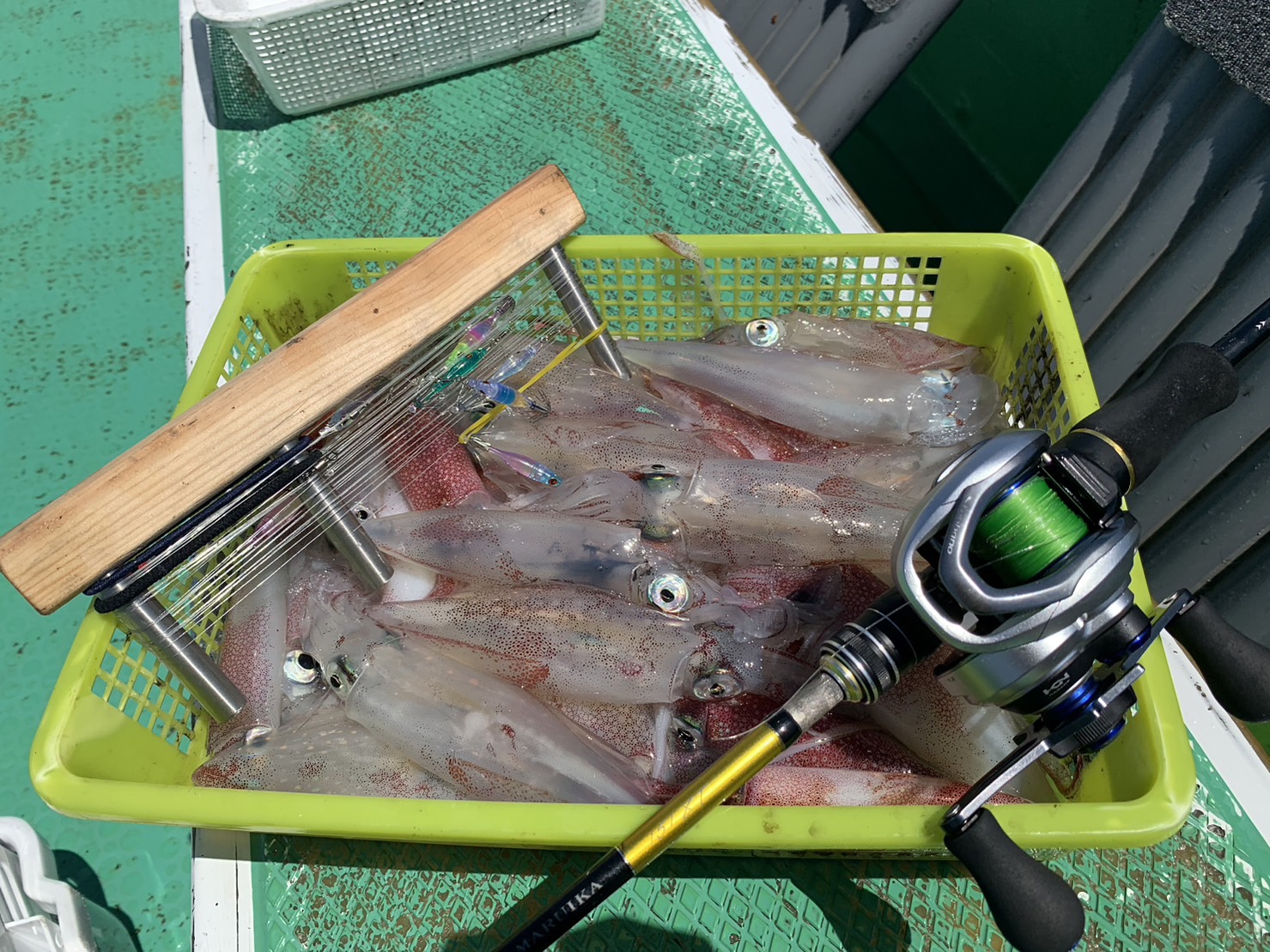 シマノの両軸リール”ステファーノSS”のインプレ～カワハギ・マルイカに