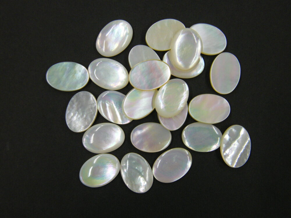 白蝶貝 | 川西ボタン倶楽部