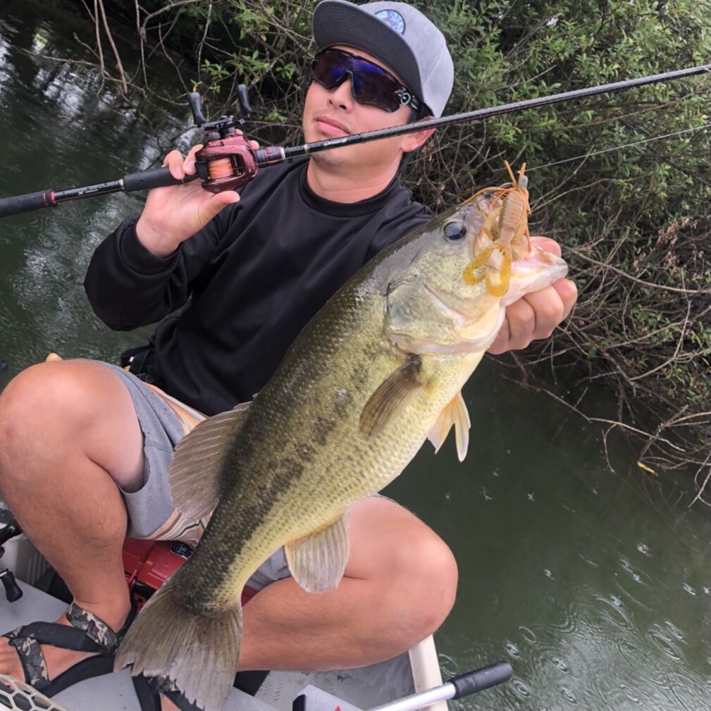 ゾディアス172Hという、自分の中で地味に活躍してくれるロッド。 |