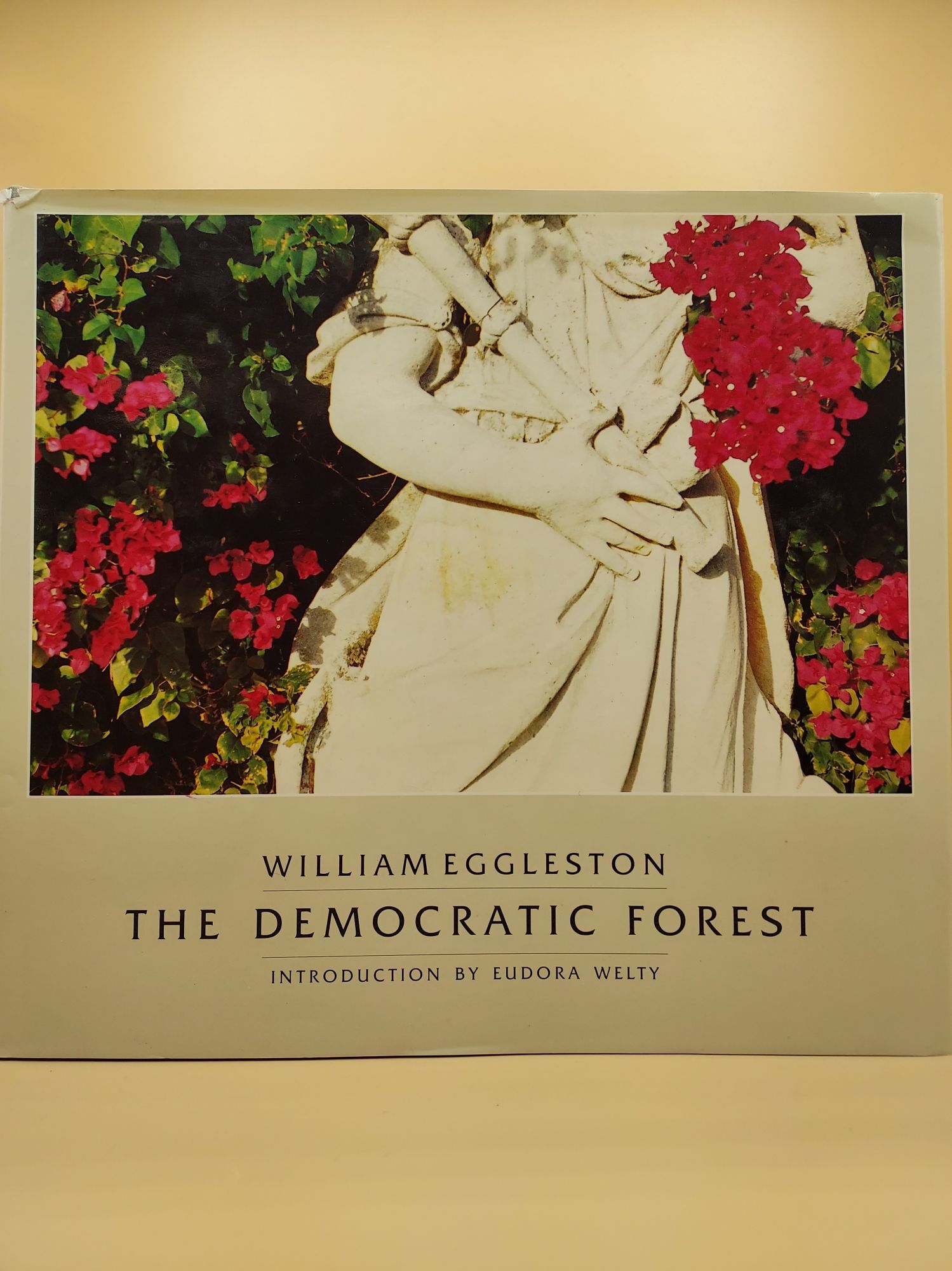 The Democratic Forest | William Eggleston, Eudora Welty | First