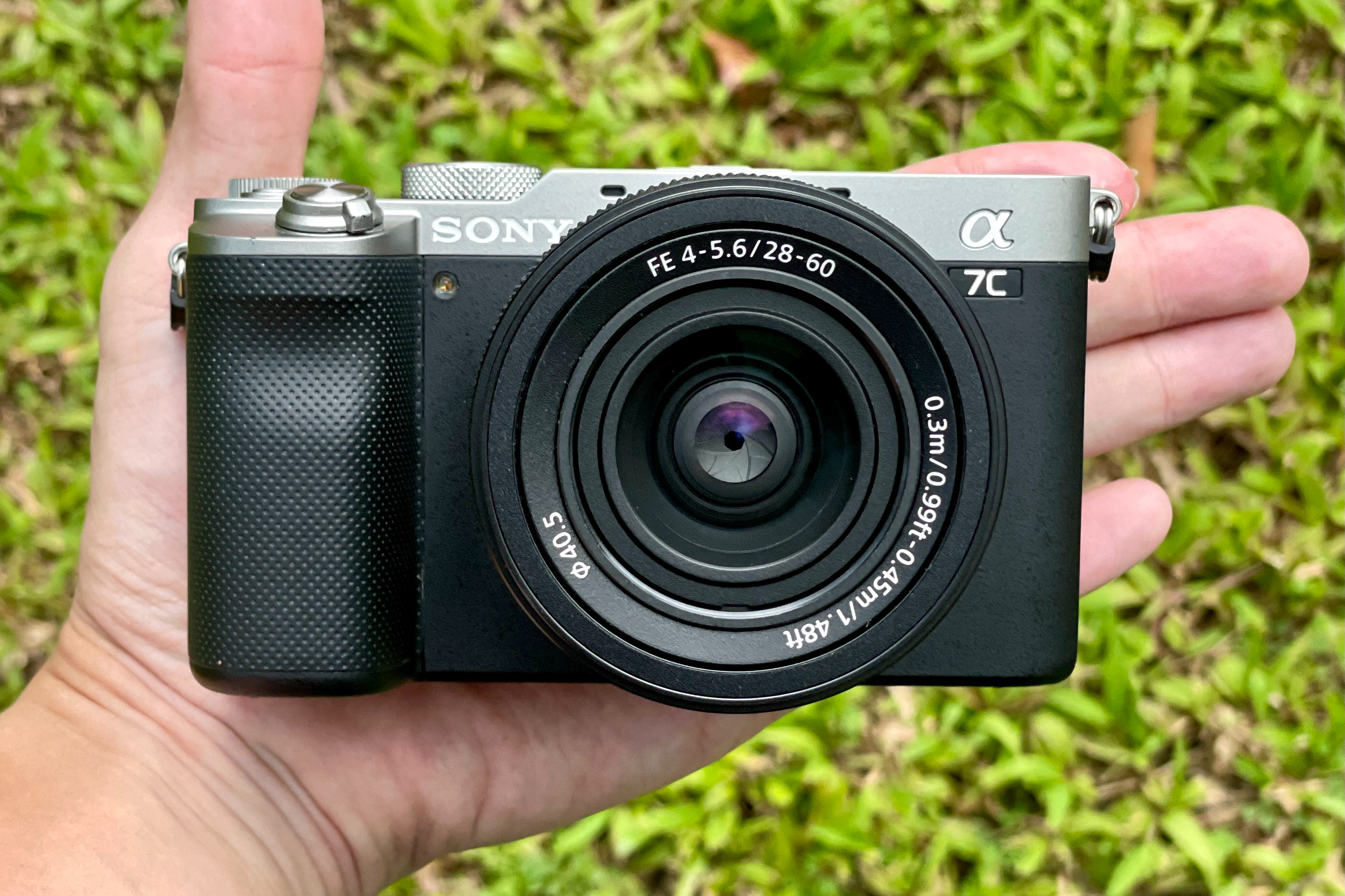 51149651891_eedcc4ccaa_o.jpg?w