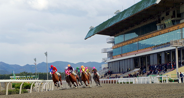 地方競馬場一覧:ガイド:楽天競馬