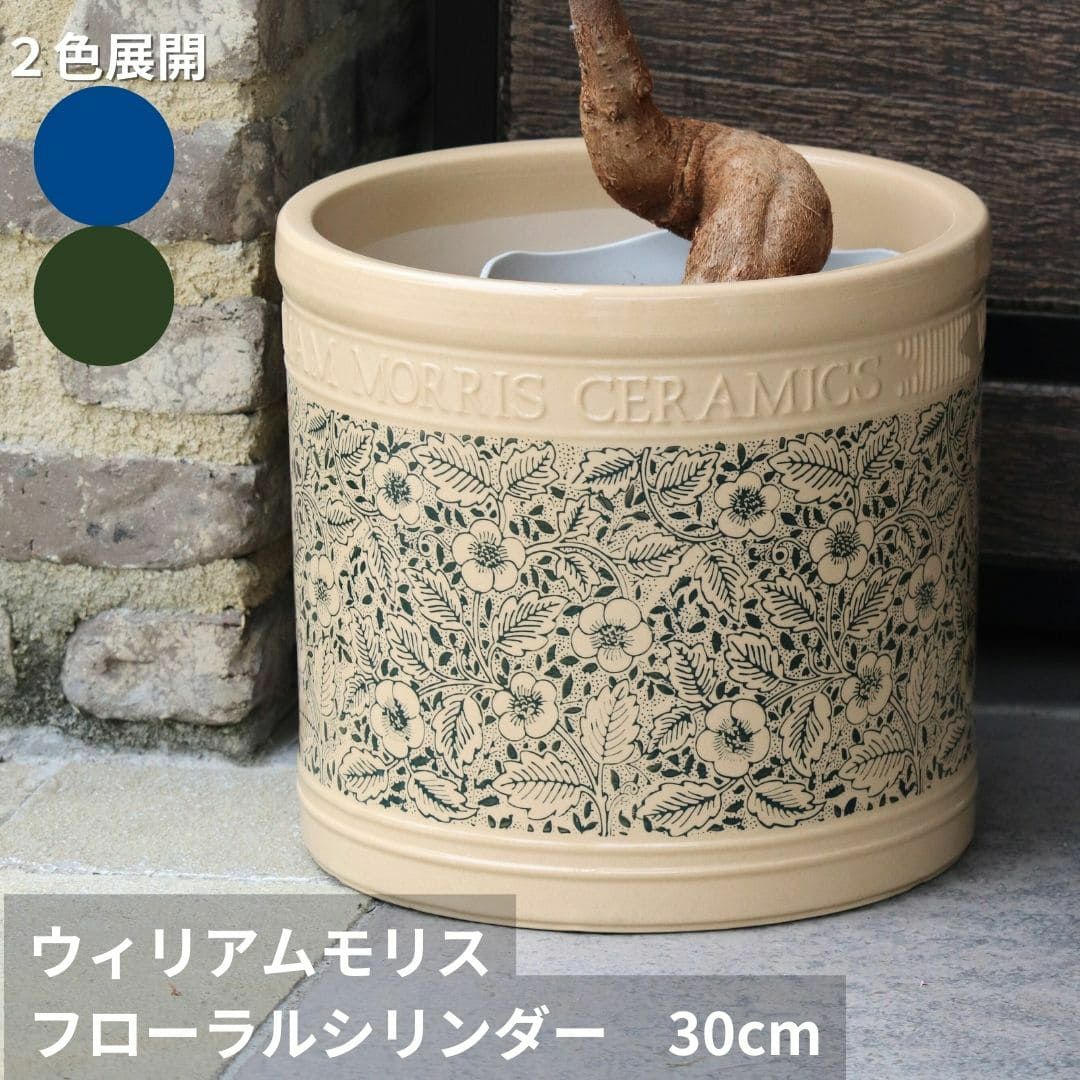 000000005568-02-m.jpg?t=