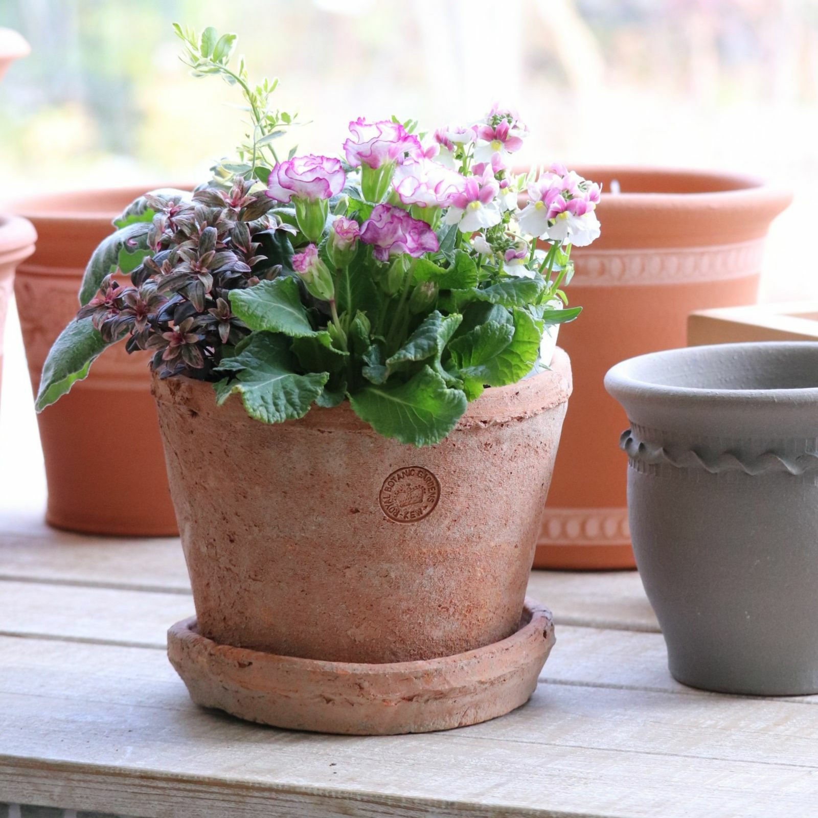 素焼き鉢・陶器鉢｜バラと庭あそび京阪園芸公式ショップ 通販