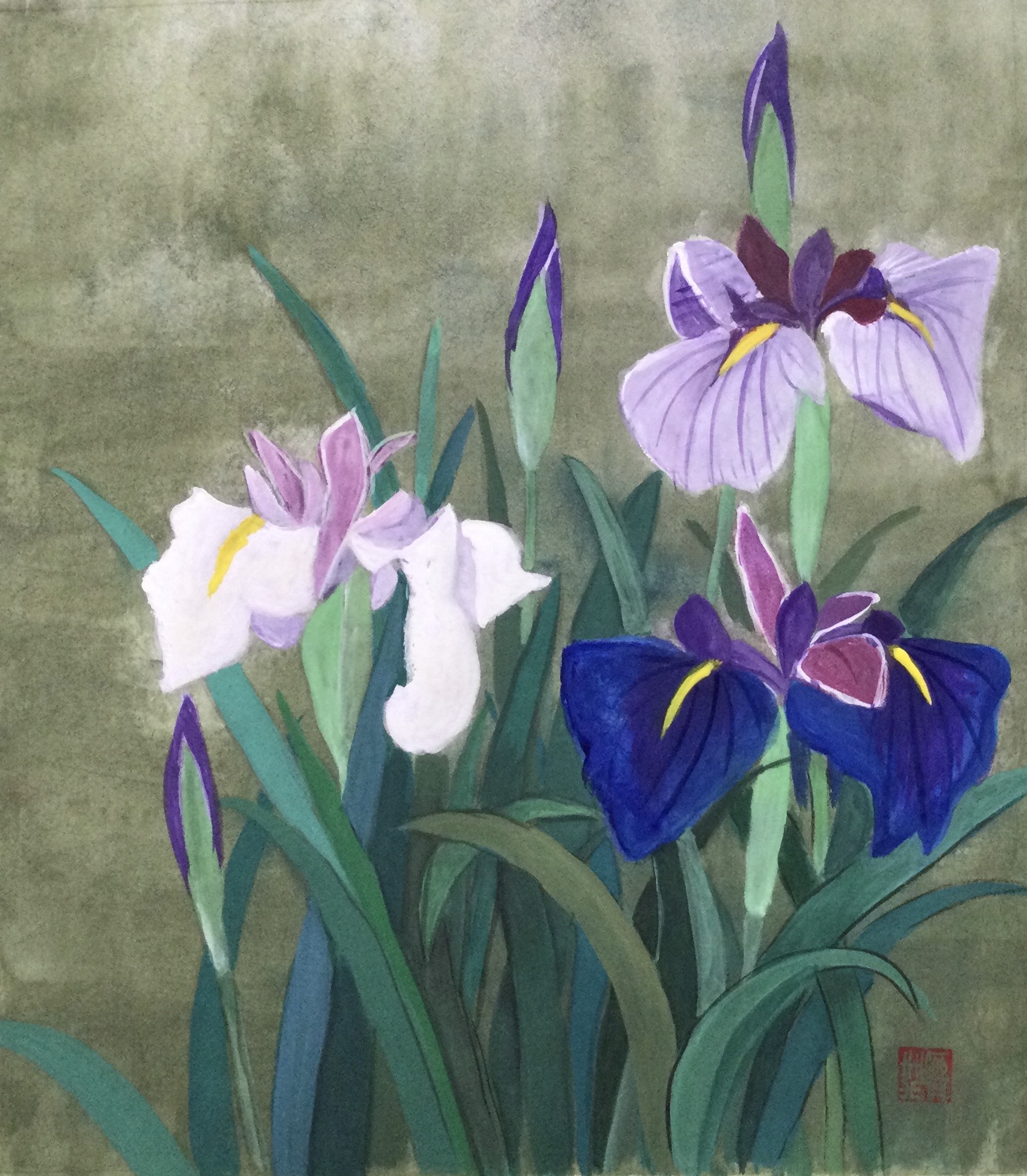 墨彩画作品 花菖蒲】花菖蒲、あやめ、かきつばたの違いについて解説し