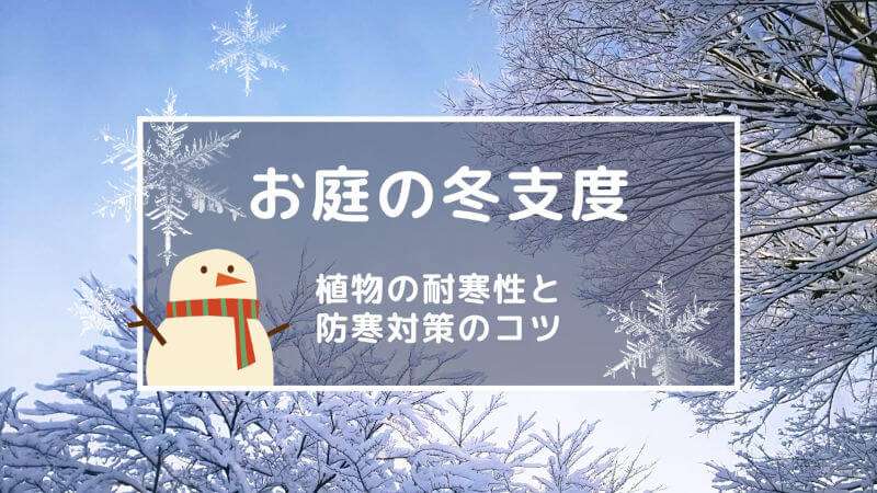 庭木や草花の寒さ対策について | キープランツ