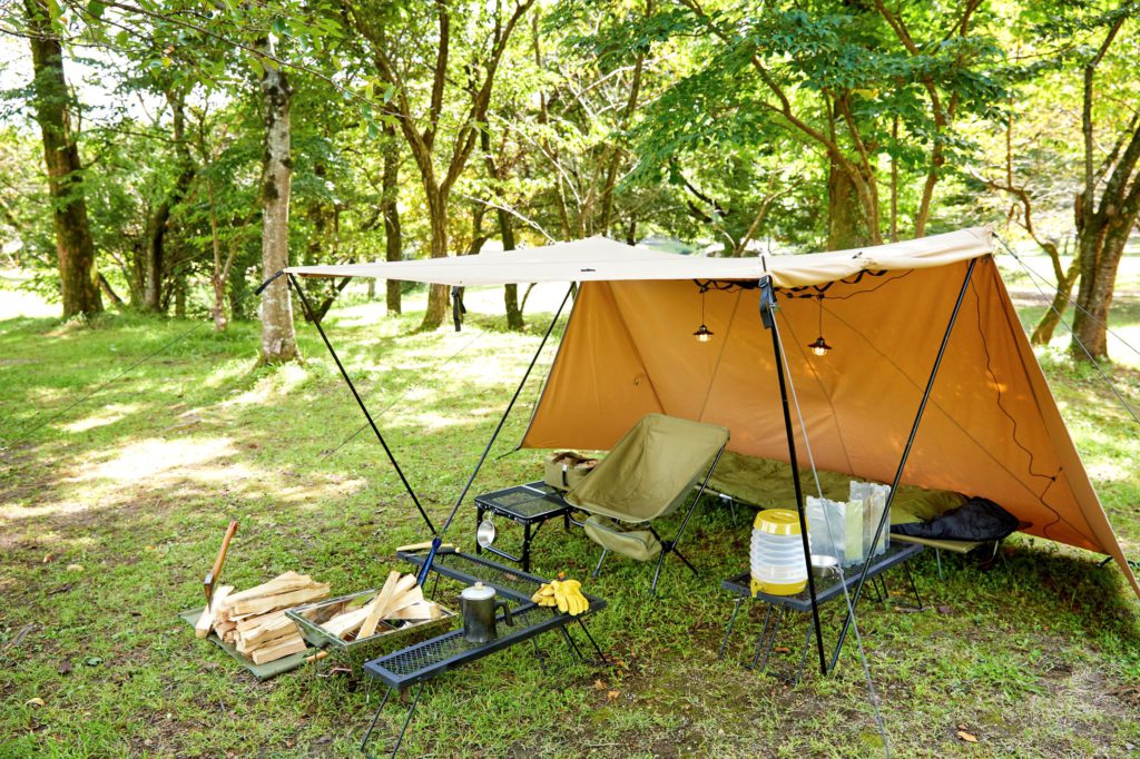 2021年の幕】あのTCバタフライシェルターにソロが登場！ | ミガルドア