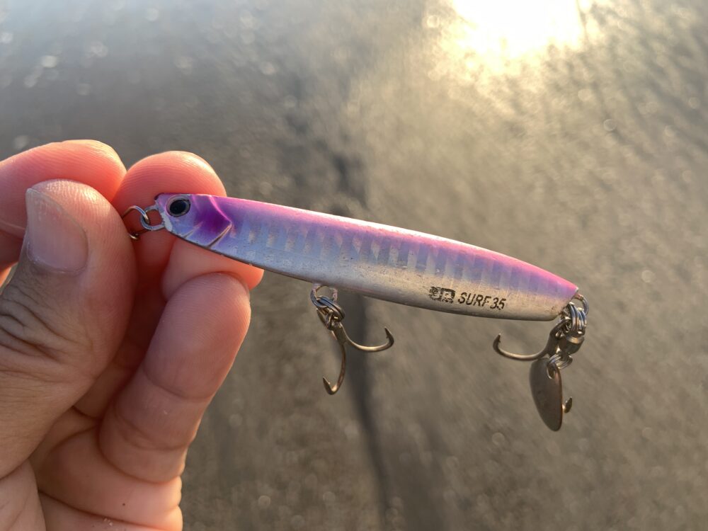 サーフの釣りに復帰じゃあ | なんでもかんでも