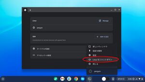 Chrome OS Flex - きまぐれ手記 Kimagurenote 技術メモ＆実機レビュー
