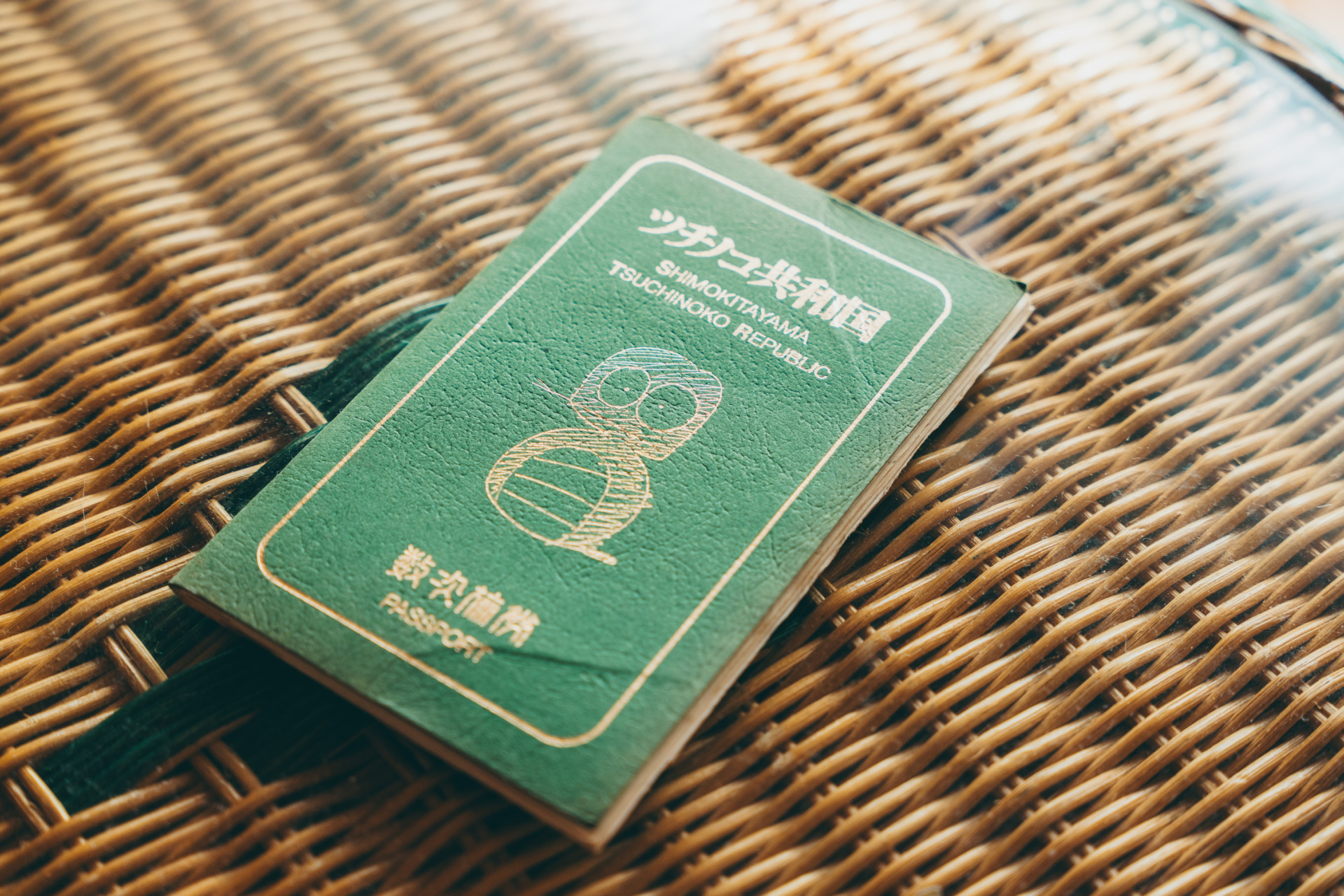 35年に渡る「ツチノコで村おこし」の記録 | 下北山村の暮らしと関わり