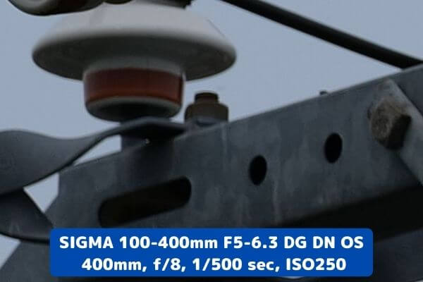 Lマウント用SIGMA 100-400mm F5-6.3 DG DN OSレビュー。Lマウントでは