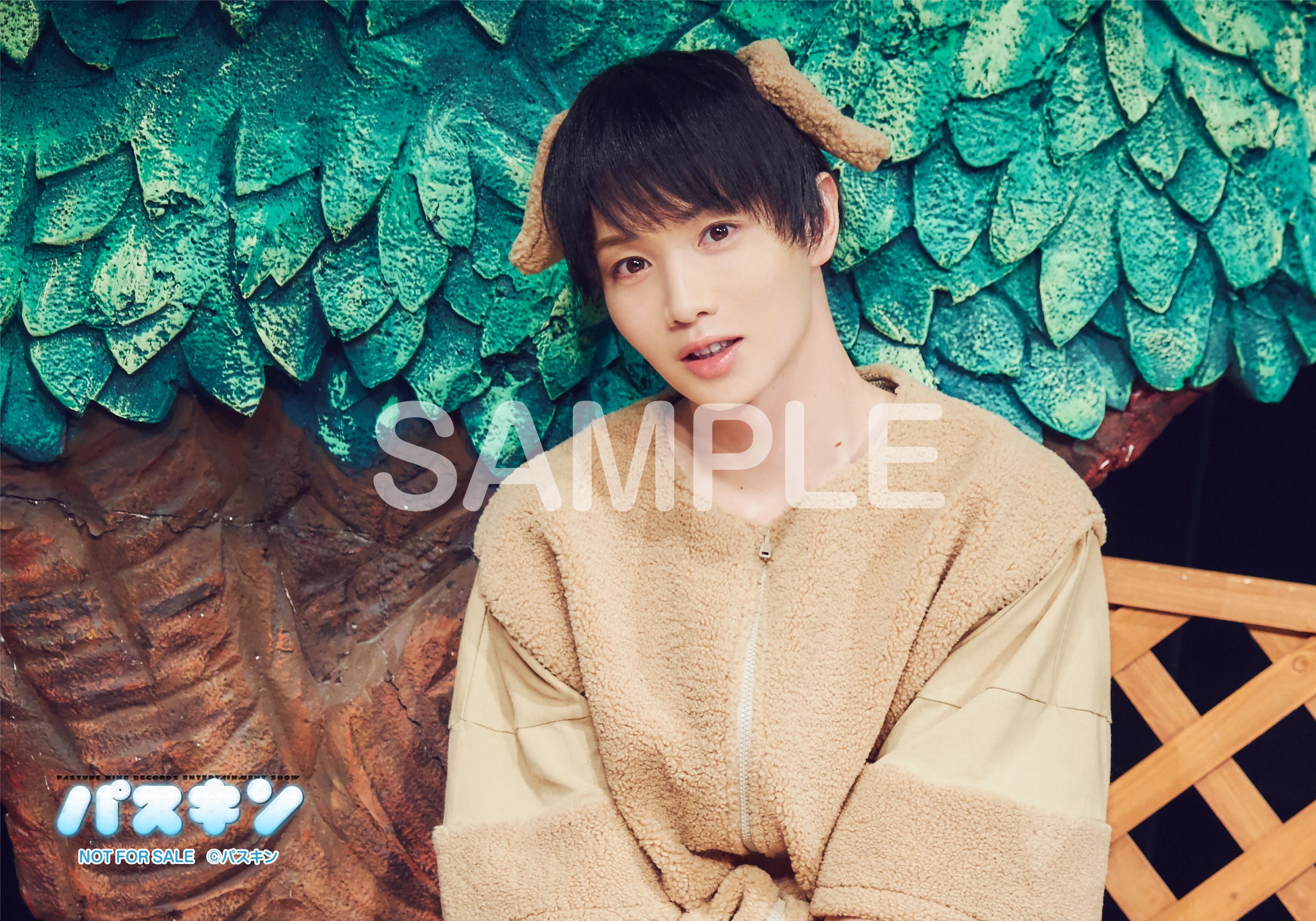 パスキン」 Blu-ray 下巻: 映像キンクリ堂