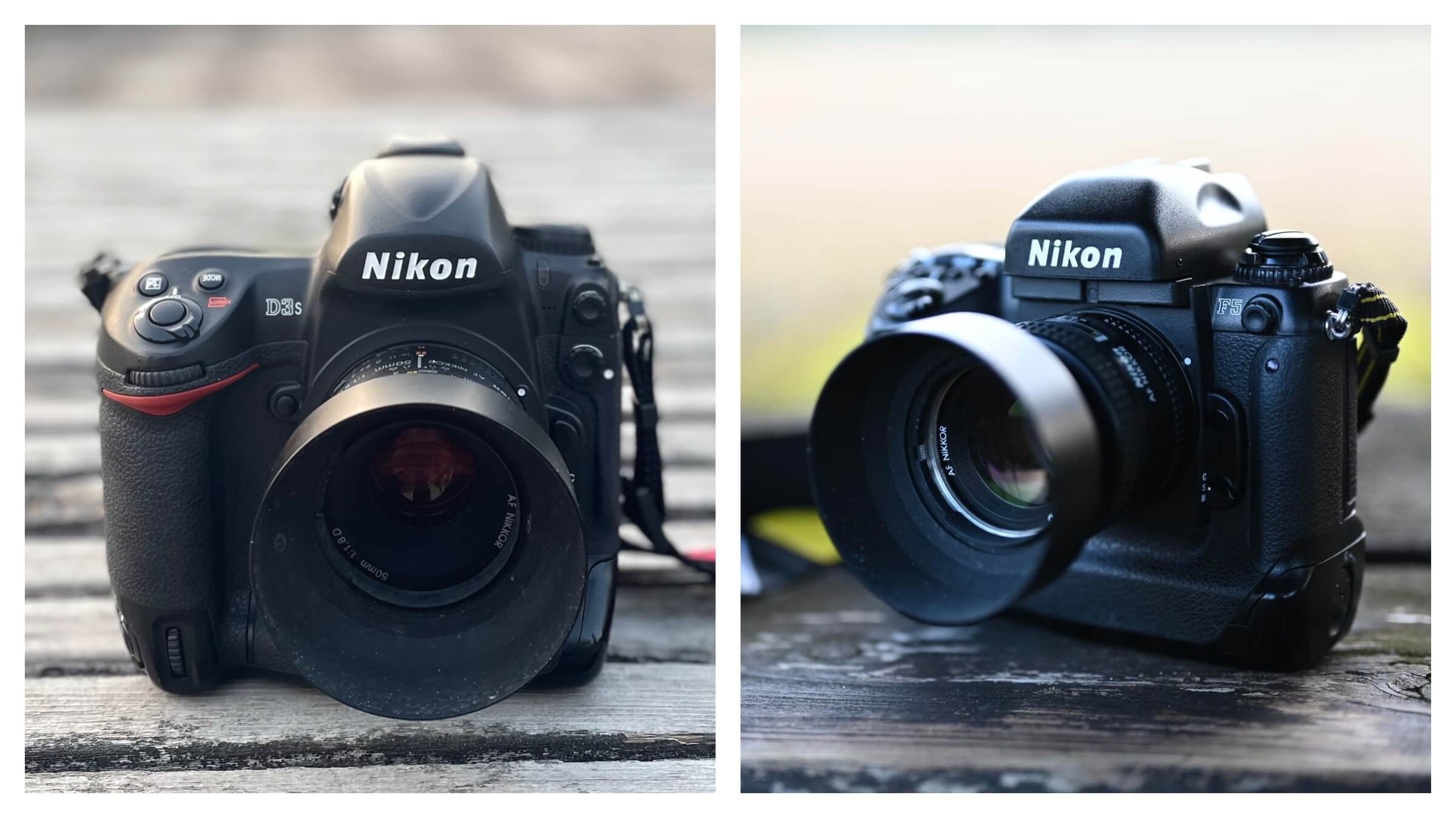 15年を経ても色褪せないNikonのフラッグシップ機。｜記憶カメラ