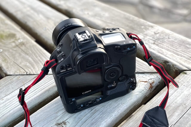 かつてのプロ機の一眼レフを、いま趣味のカメラとして楽しむ。｜記憶カメラ