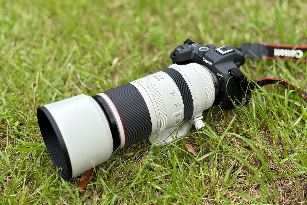 人生で初めて、超望遠な人たちに混じって、野鳥を撮る。｜記憶カメラ