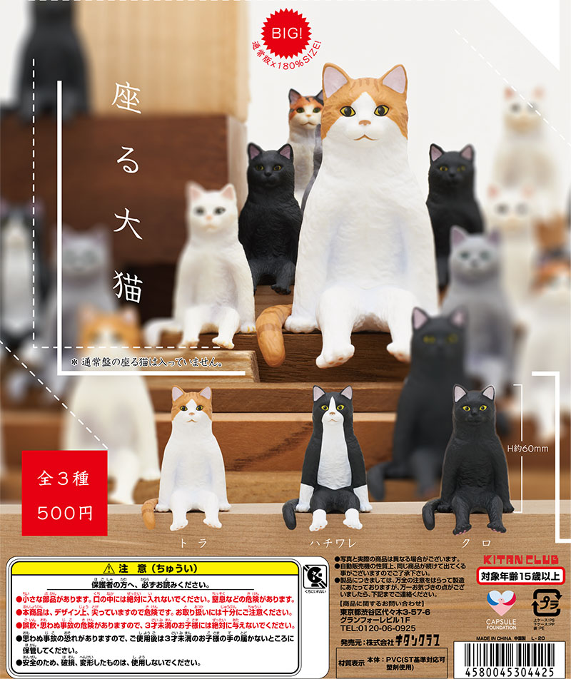 座る大猫｜株式会社キタンクラブ