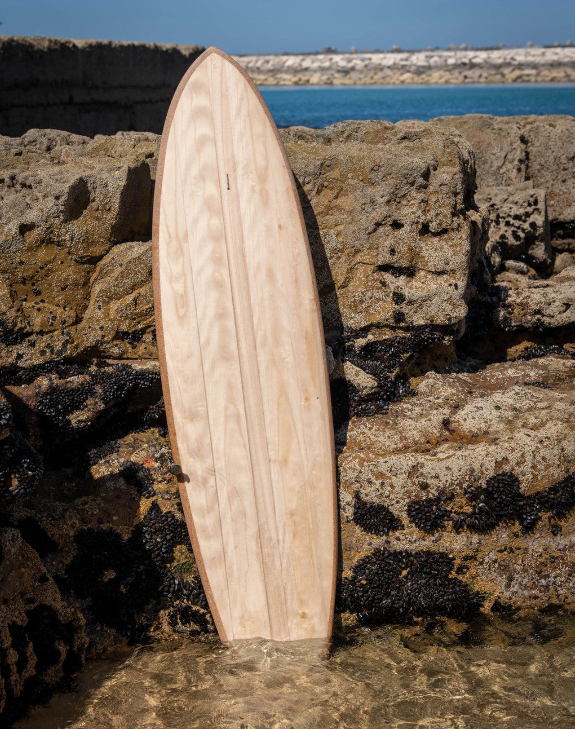 ミッドレングス・サーフボード》スピード × 安定感 × サステナブル