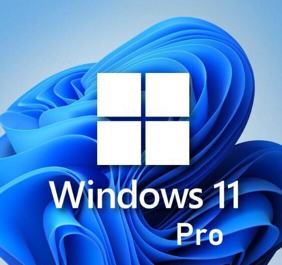 Windows 11 professional 32/64 bit 1PC 日本語 正式正規版 認証保証
