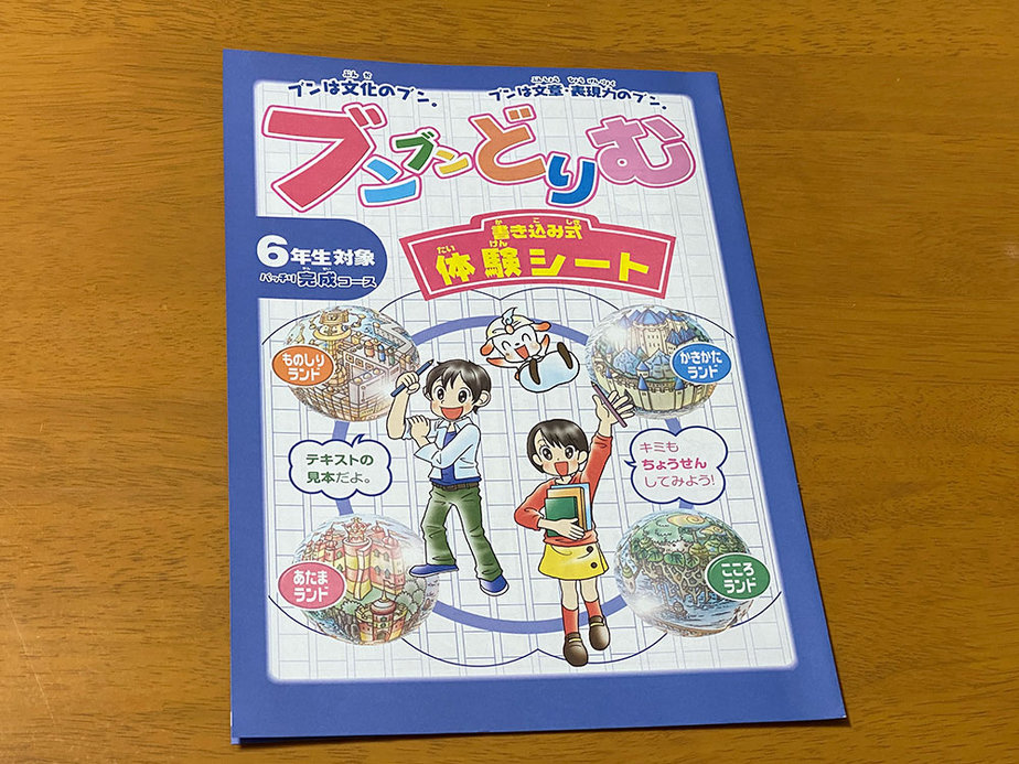 ブンブンどりむ効果なしは本当？！口コミ・評判と読解力の弱い小5の