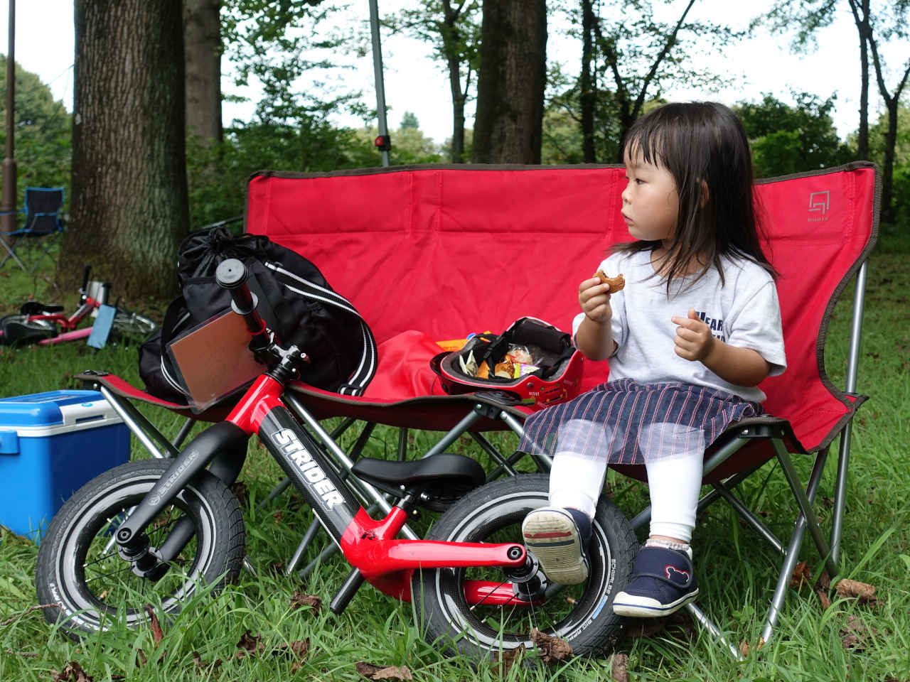 レビュー】ストライダーST-R！”10万円”のレーシング用カーボン