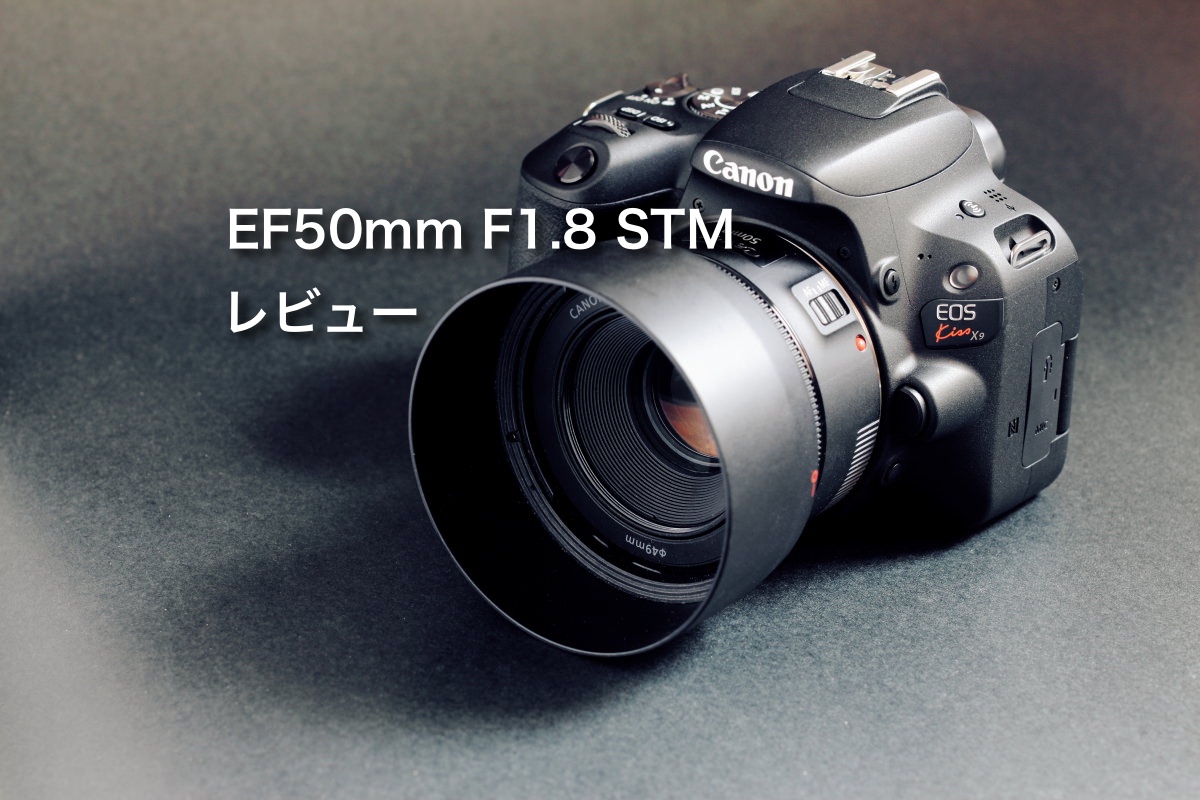キヤノンの大人気単焦点レンズEF50mm F1.8 STMレビュー【売れるレンズ