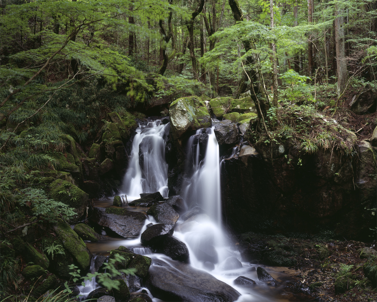 第156話 フジノン大判レンズ FUJINON W 125mm 1：5.6 応用範囲の広い