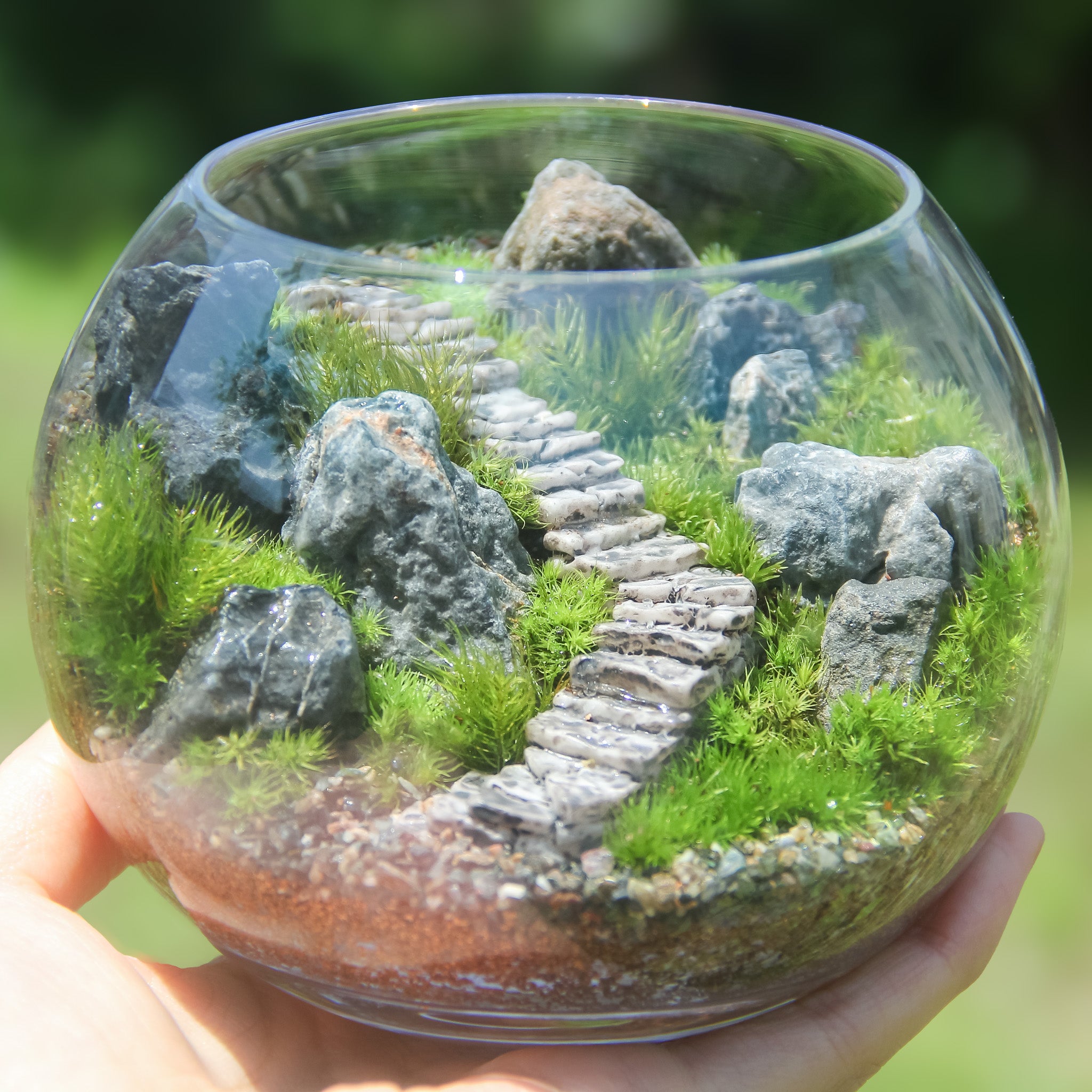 フィギュアなし_階段の風景 ボウルLL《苔テラリウム・コケリウム