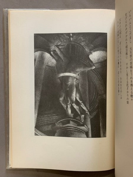 悪徳の暹羅双生児もしくは柱とその崩壊相澤啓三建石修志リトグラフ