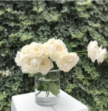 コスタ ボダ LIMELIGHT (ライムライト) フラワーベース TULIP クリア