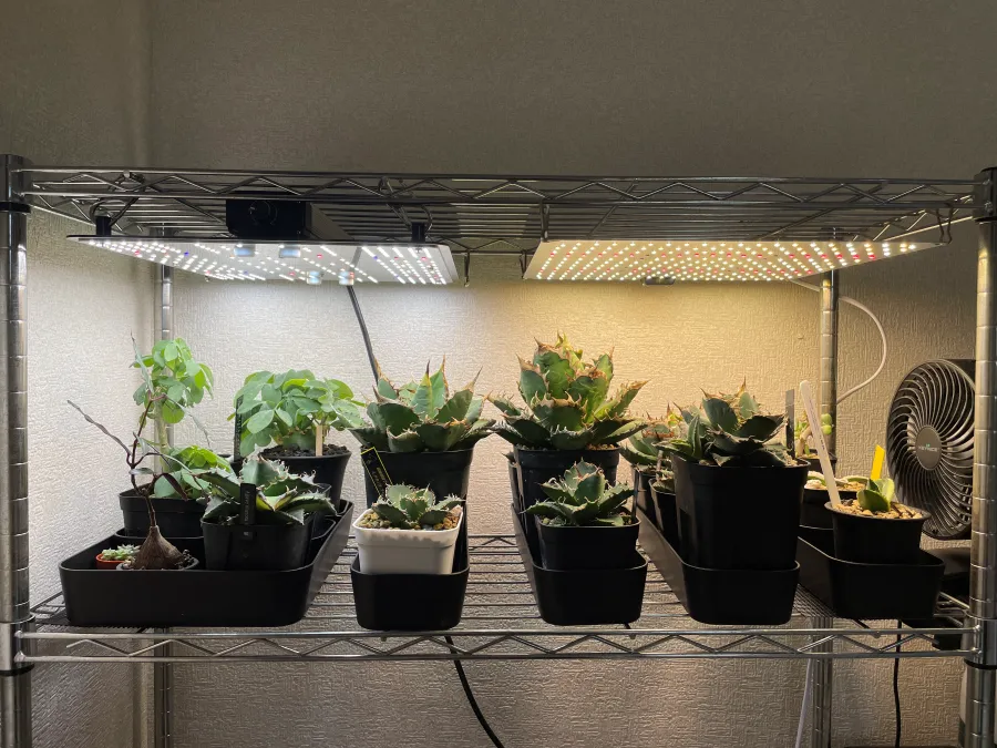 BRIM PANEL Xを徹底レビュー!取り付け例や気になる照度も解説