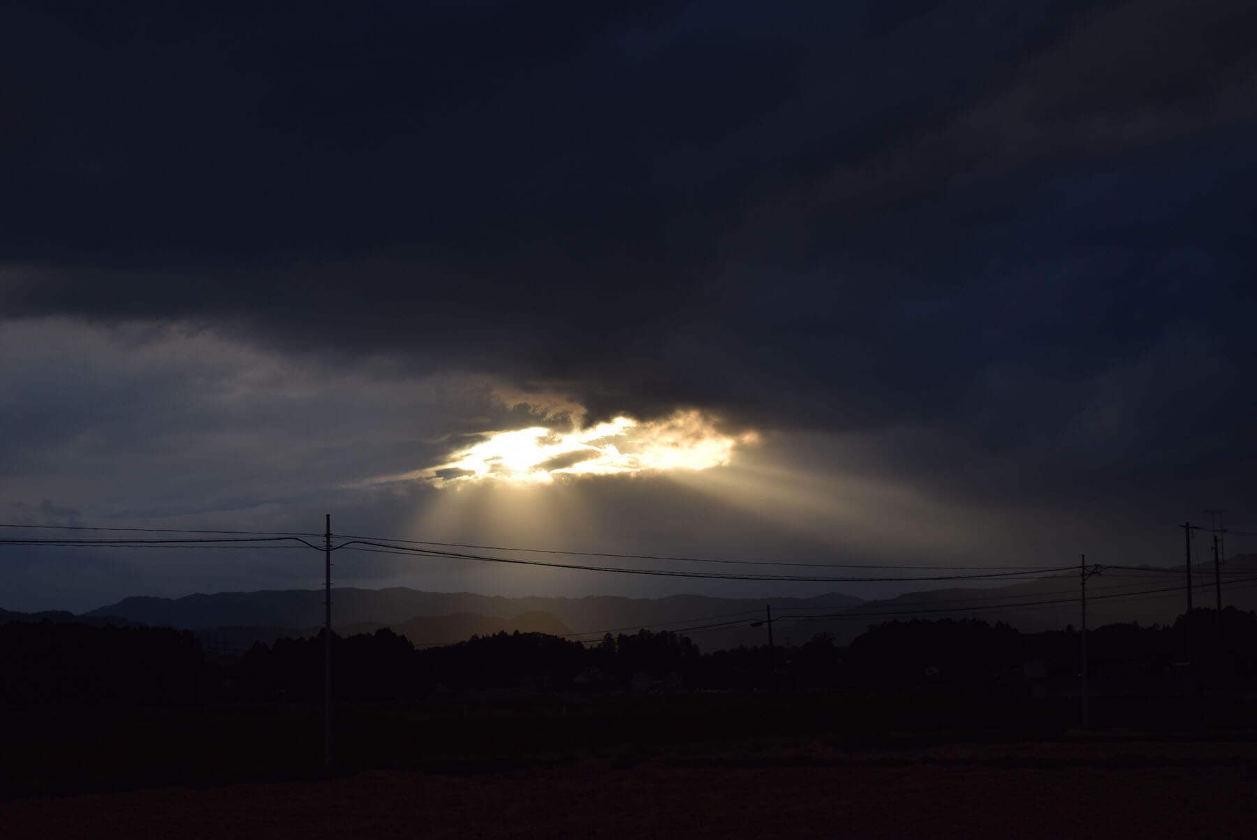 第26回 保坂和志『猫がこなくなった』 | ことさら出版