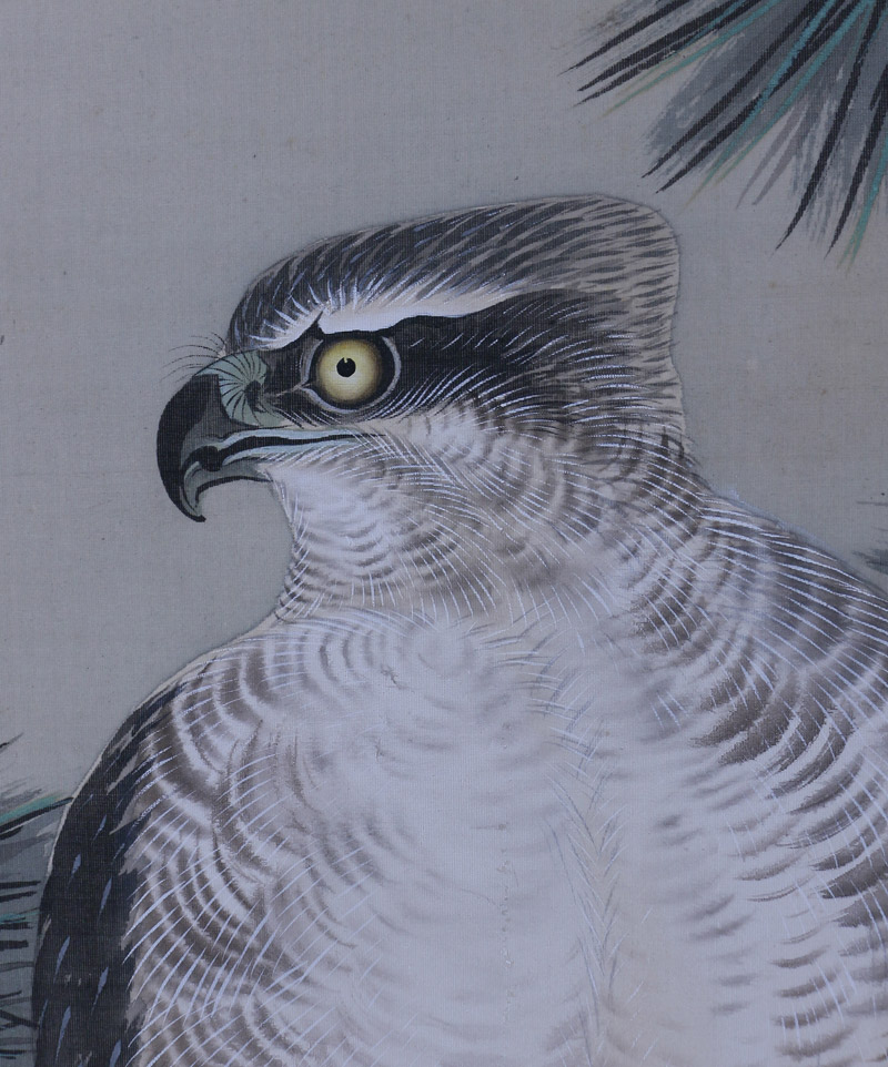 松鷹｜新・古美術 高美堂（こうびどう）｜掛軸販売・通販・買取｜骨董