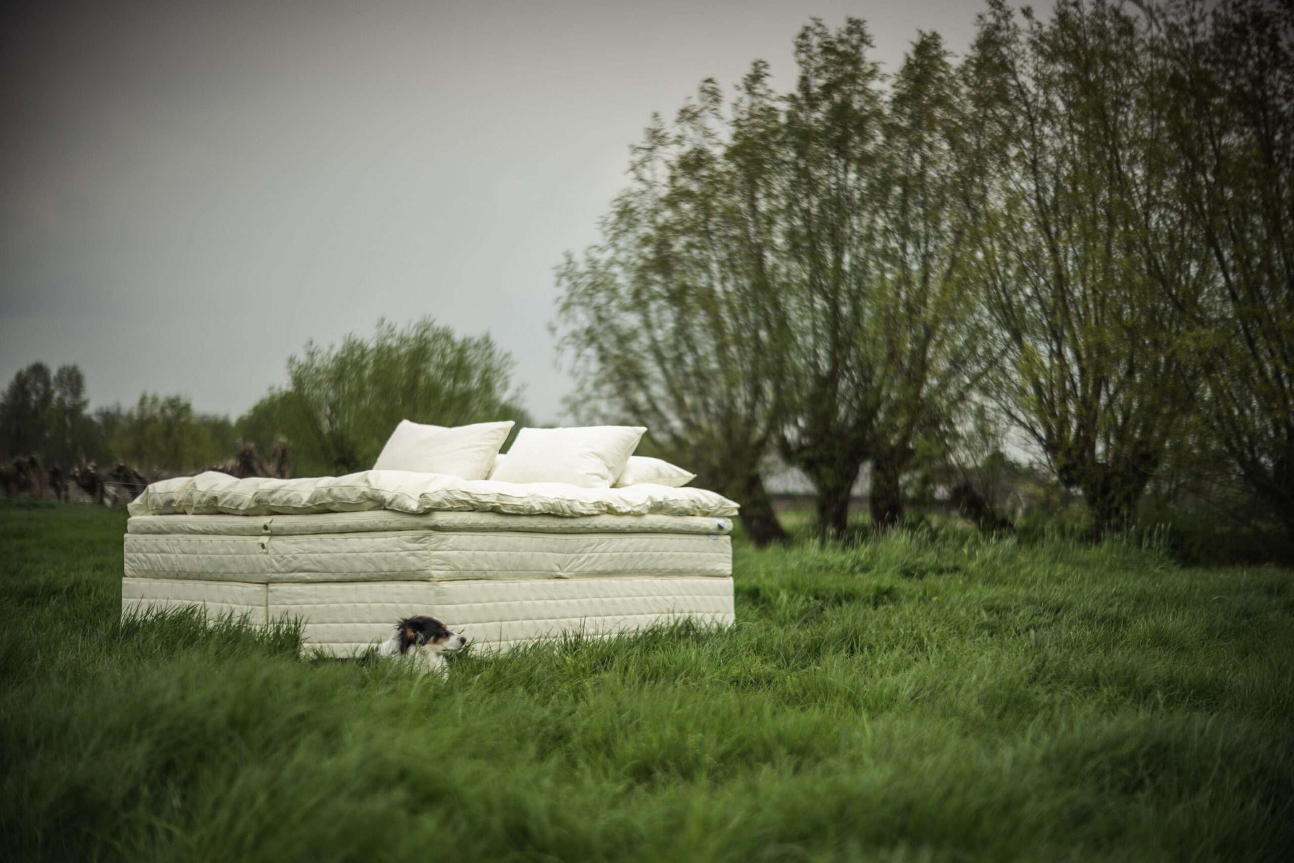 Atlas Mattress by COCO-MAT – Exclusively Designed for Koukoumi