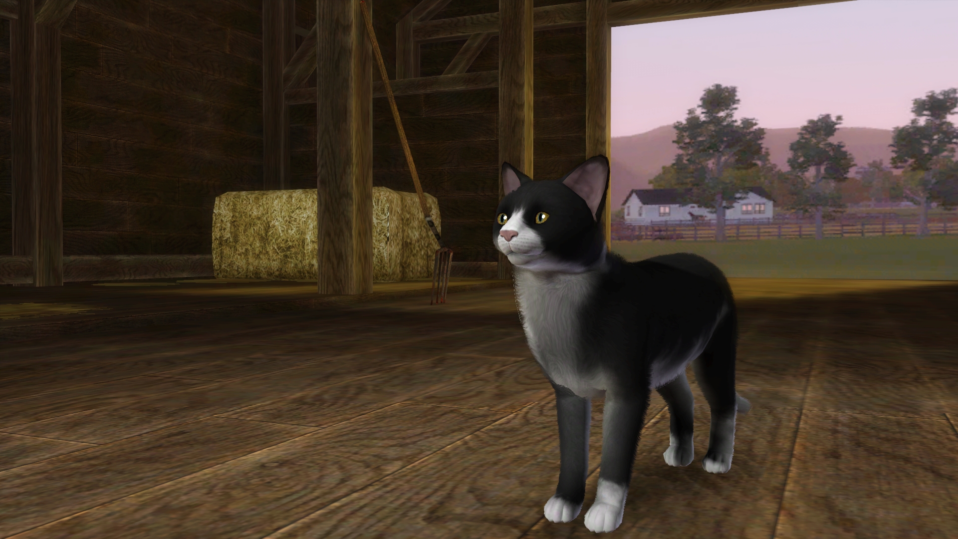 ペット(猫の種類): The Sims 3(ザ・シムズ3) 拡張・追加パック