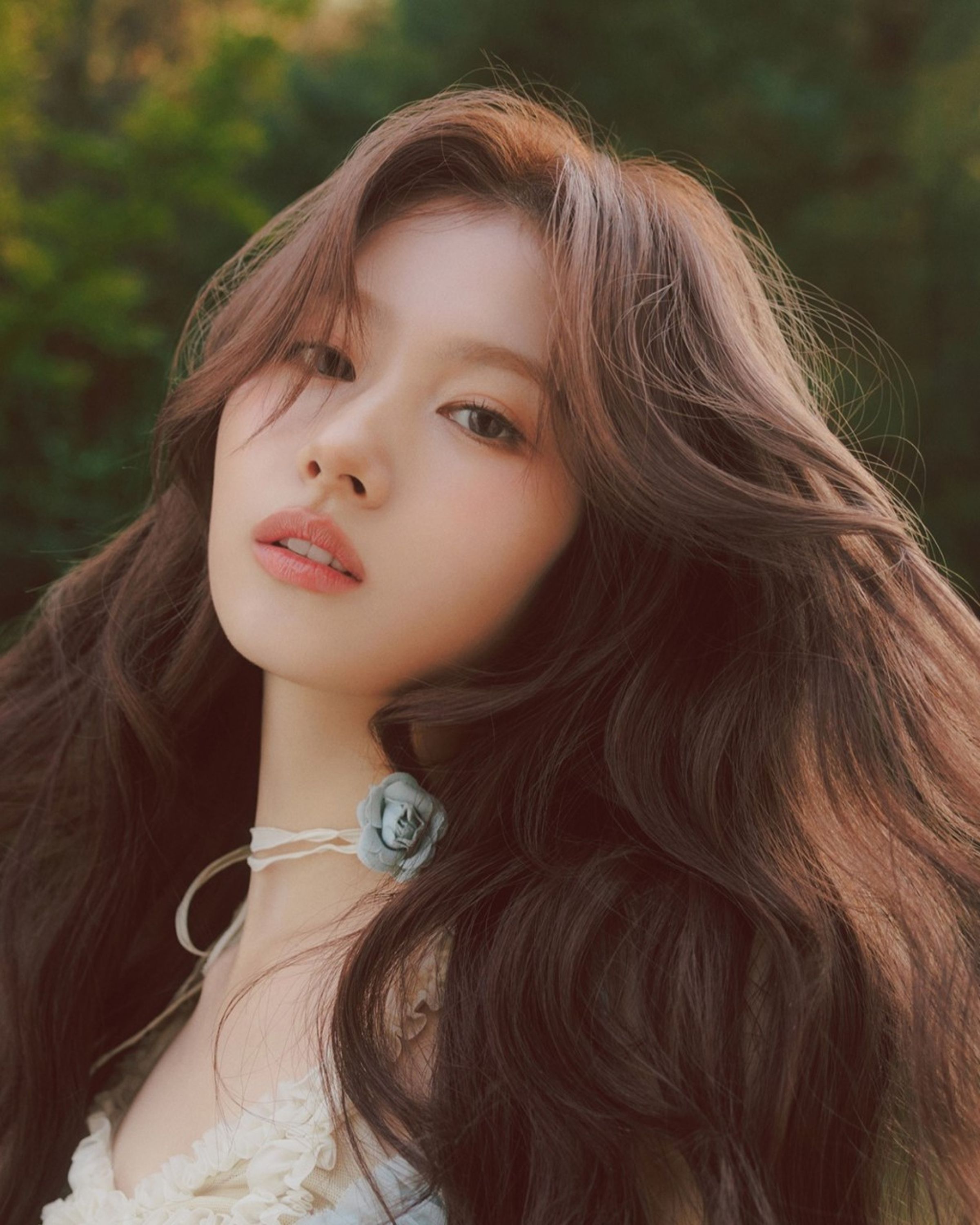 2026 TWICE サナ センイルカフェ集 | 自分だけのセンイルカフェリスト