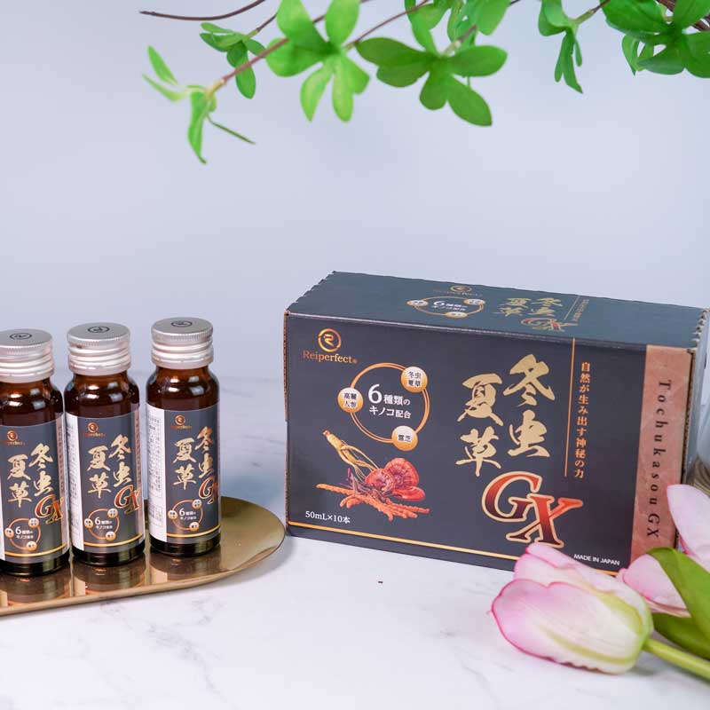冬虫夏草GXドリンク – KUU MEDIC
