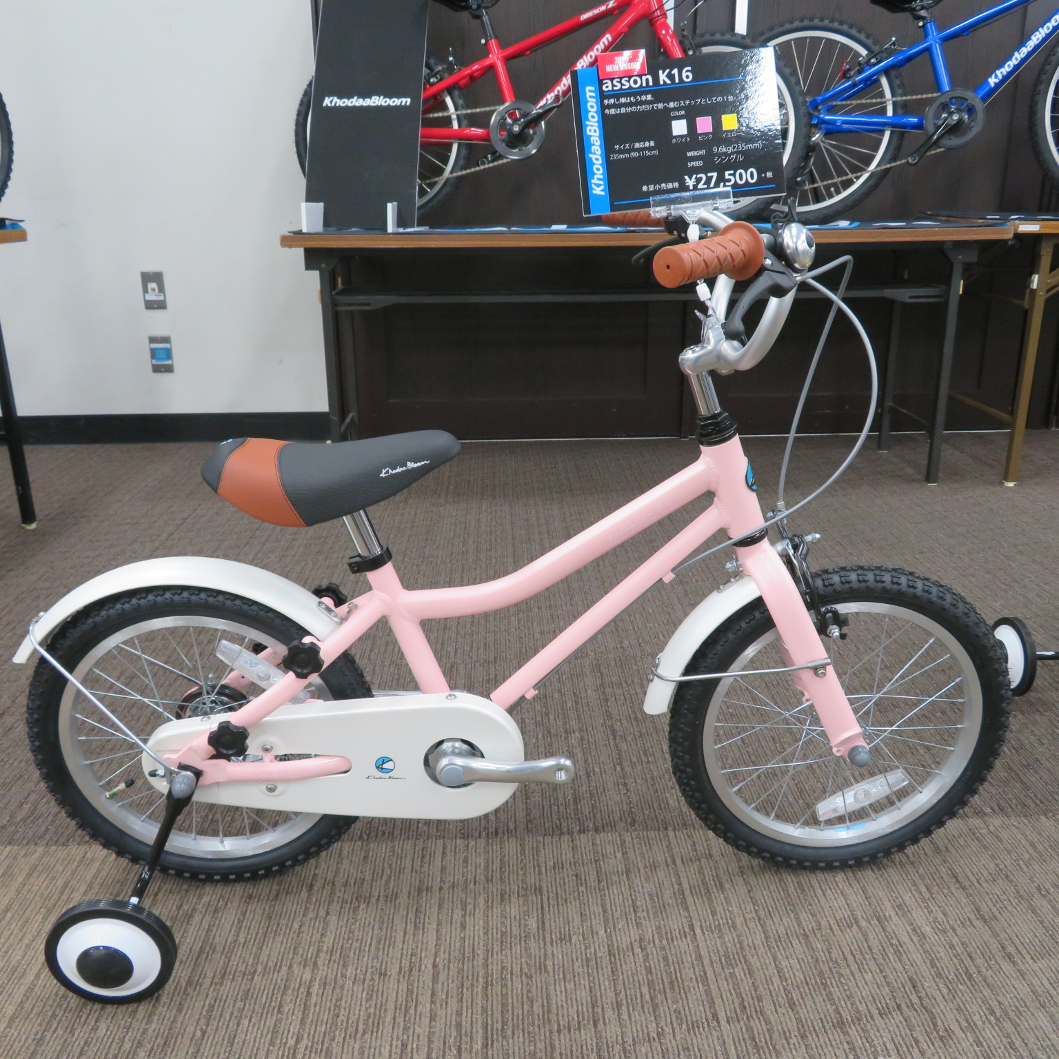 2019Khodaabloom/コーダブルーム ～ asson/アッソンシリーズご紹介