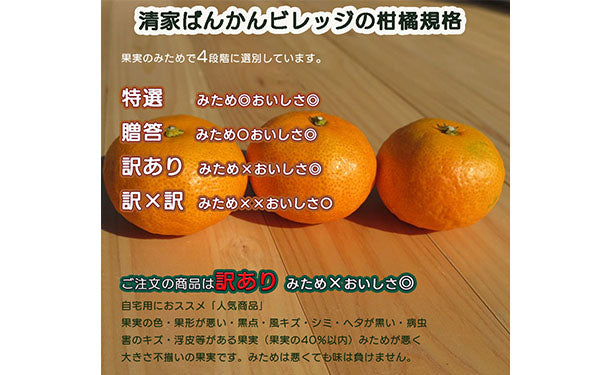 main06_71a0c6af-5be9-4a45-b897