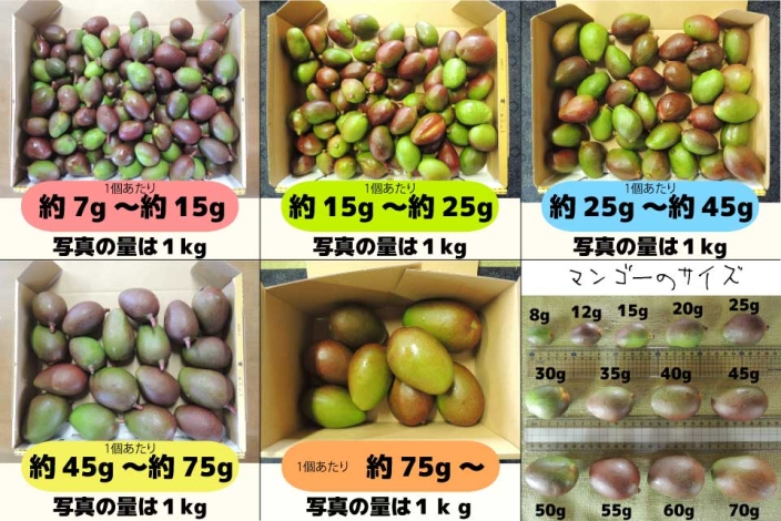 倉重農園ホームページ | グリーンマンゴー（未熟マンゴー）