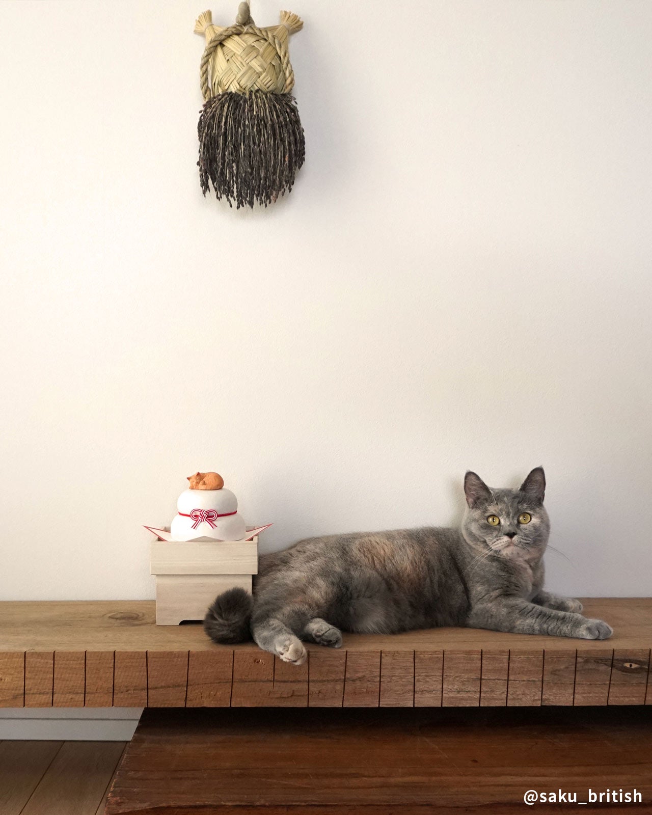 猫好きのための「小さな猫」がのった木製の鏡餅｜ねこくら 木彫りの