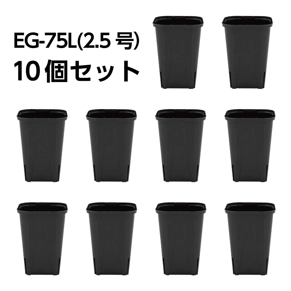 スリット鉢 EG-75L（2.5号ロング） 黒 10鉢セット – KUROKO