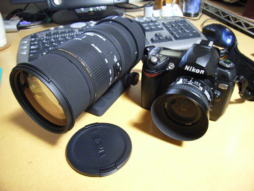 SIGMA APO 50-500mm F4-6.3 EX DG /HSM 購入！: くろねこ三等兵 写真