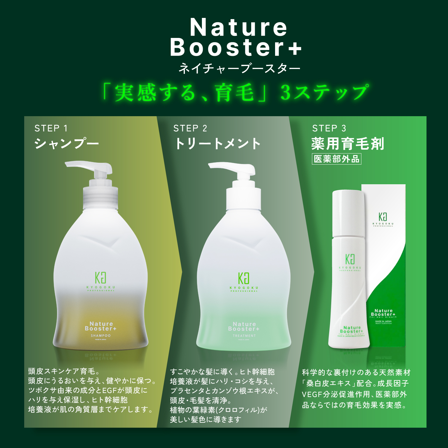 Kyogoku Professional / KYOGOKU ネイチャーブースター＋シャンプー