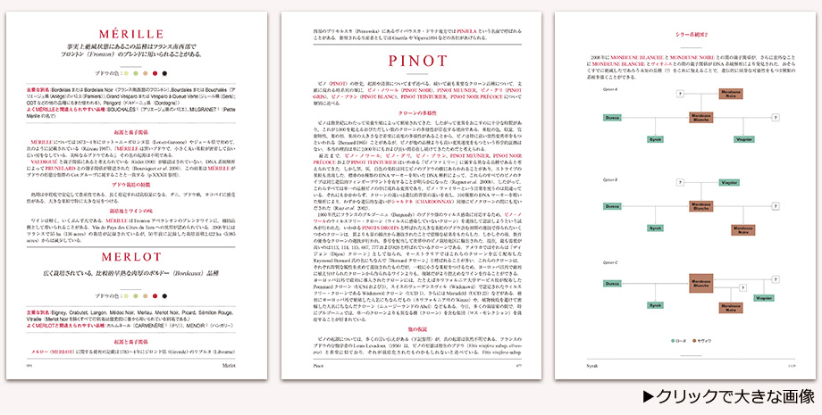 ワイン用 葡萄品種大事典 | 共立出版