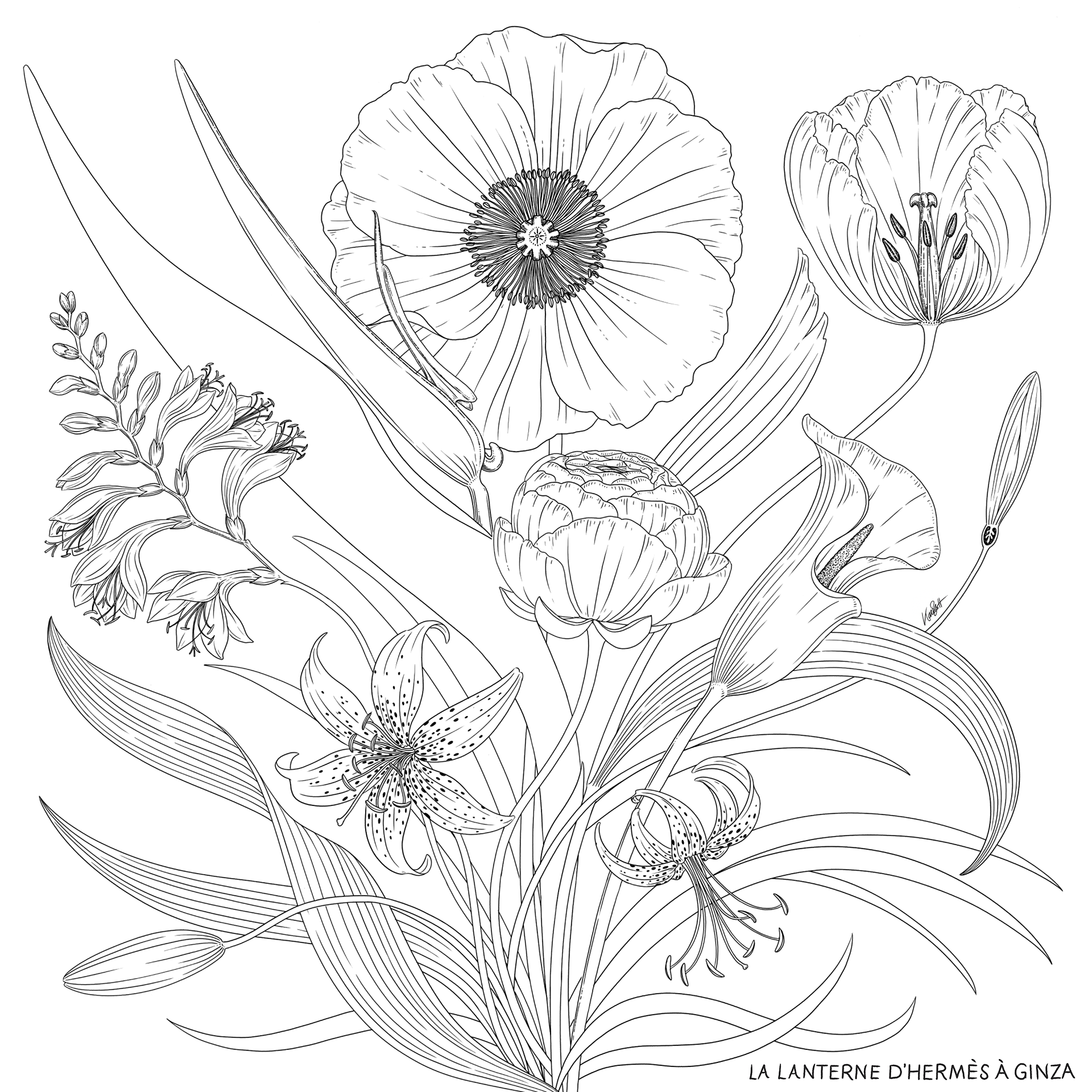 ENJOY YOUR COLOURING | ランタンエルメス - LA LANTERNE D'HERMÈS À GINZA