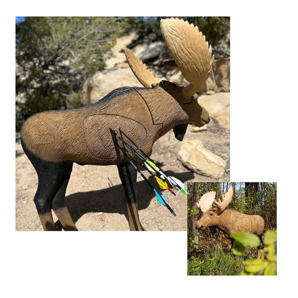 Rinehart 1/3 Scale Signature Moose 3D Target – Lancaster Archery