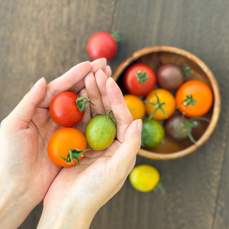 ミディフルBOX（2kg） | Lacycle mall（ラシクルモール）